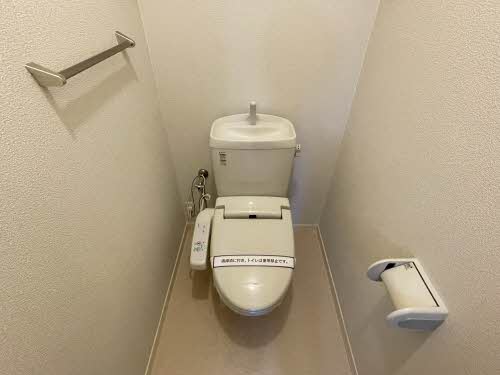 ラフィネイオス ** A0101号-9