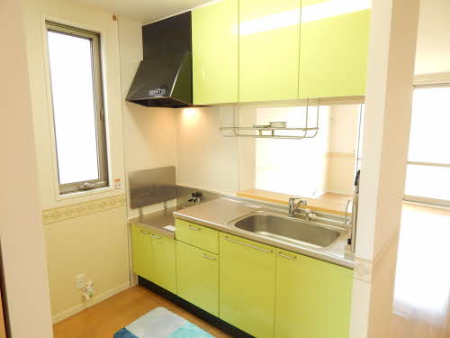 サンリバー新女島　Ⅱ棟　＊＊ B0101号-5