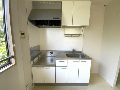 フェアリーウィング　＊ A0202号-3