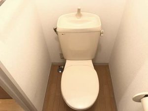 シャーメゾン柏原　＊ A0103号-10