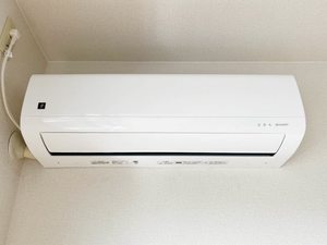 シャーメゾン　ミズキ　＊ A0202号-12