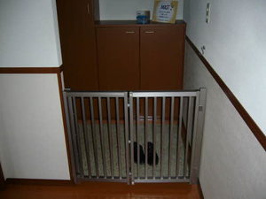 アンシャンテ前原 G棟 * G0102号-7