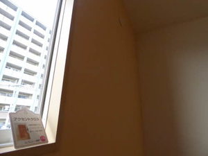 マリー・ブランシェ　＊＊ A0203号-7