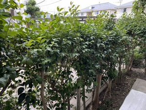 エミール篠栗　Ｄ棟　＊ D0101号-8