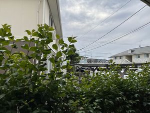 エミール篠栗　Ｄ棟　＊ D0101号-9