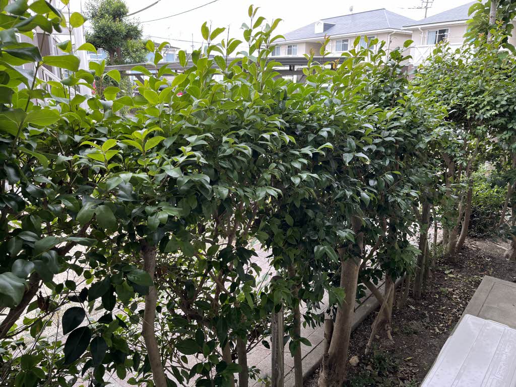 エミール篠栗　Ｄ棟　＊ D0101号-8