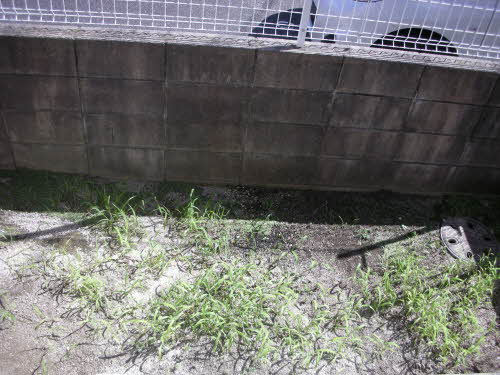 セレッソ若葉台　Ａ棟　＊＊ A0101号-15