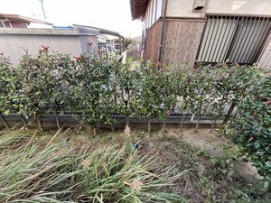 ＬＩＢＲＡ　Ａ・Ｂ棟　Ａ棟　＊＊ A0102号-15