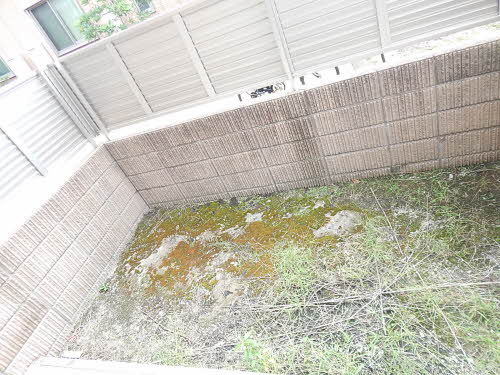 グリーンハウス城角　Ｄ棟　＊ D0101号-14