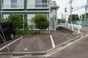 グリーンピース 103号-14