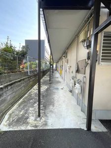 コスモス　１ 202号-13