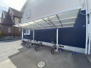 クリプトメリア 201号-14