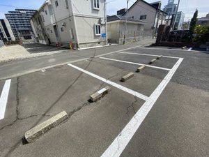 クリプトメリア 201号-15