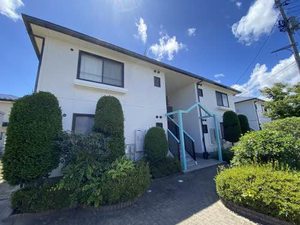 コージーコートＣ