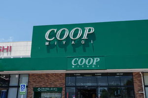 カーサ・ルミエールＢ 102号-14