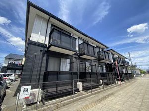 アムールコートCD 105号-12