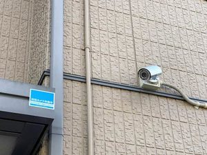 テンダーベルデ 103号-5