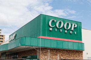 Ｖｉｖｒｅ　Ｃ 202号-15