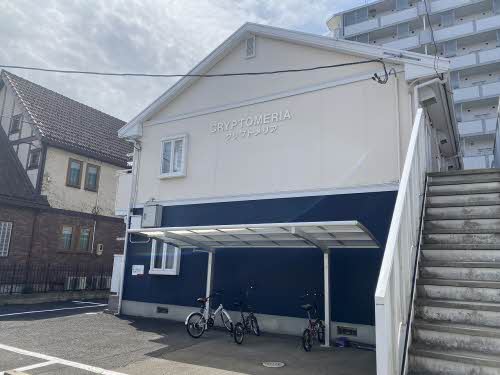 クリプトメリア 201号-13