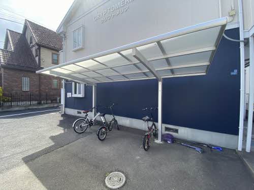 クリプトメリア 201号-14