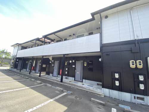 アムールコートCD 105号-15