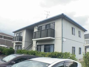 アネックス　Ａ 201号-1