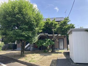 Ｍａｎｎｈｅｉｍ　Ａｓａｋａ 103号-15