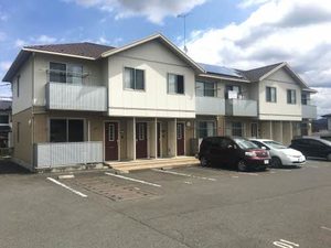 ソリアード大美林