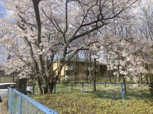 メゾンドクレール 202号-15