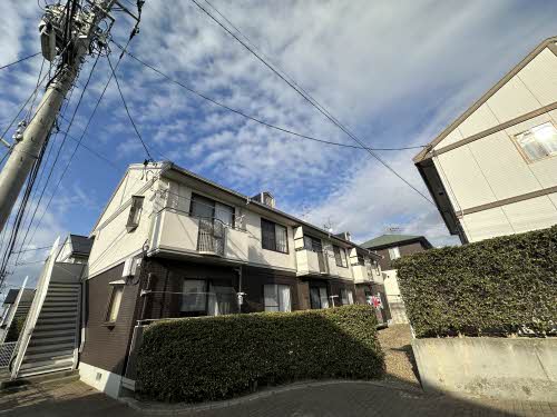 ビューラー美つ坦Ｂ203-1