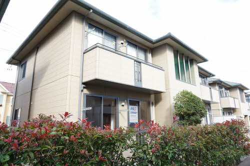 ディアスＦ　Ｄ201-1