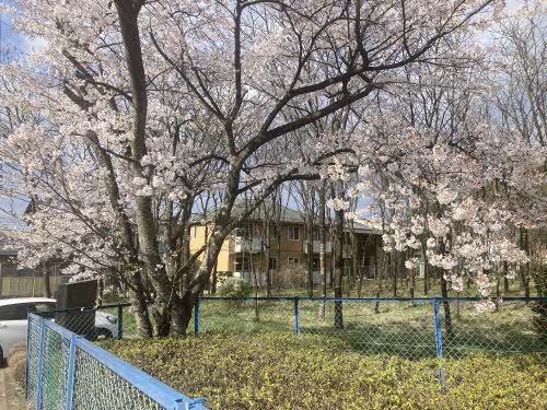 メゾンドクレール 202号-15