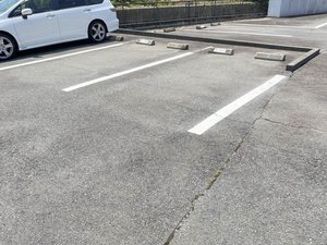 アプリコットＢ 203号-13