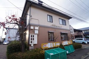 アメニティタウンＤ 101号-1