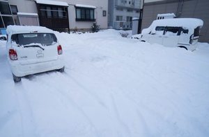 コートラックス D 101号-14