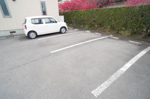 サクラメント 101号-2