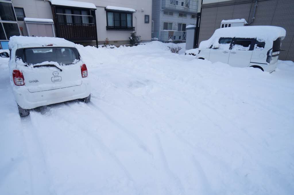 コートラックス D 101号-14