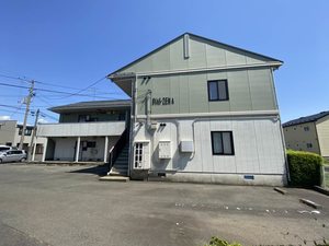 ディアスＺＥＮ　Ａ 206号-13