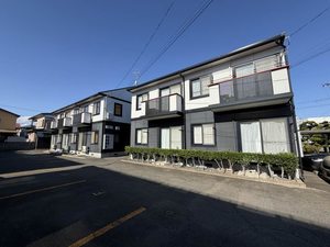 サンバースト 203号-1