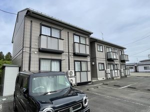 マーベラス・ローズ　Ⅱ