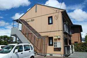 ドリーム・ライク