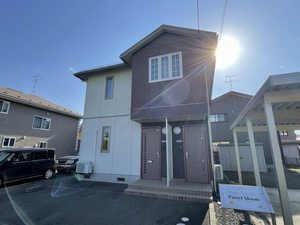 パステル　ブルーム