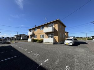コットン　ハウスＢ