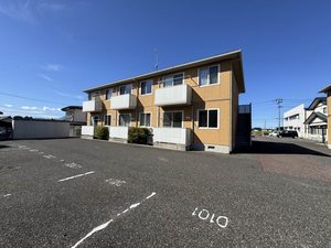 コットン　ハウスＣ 103号-4