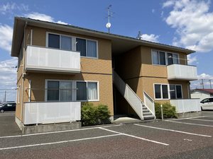 コットン　ハウスＤ