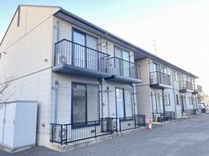 エヴァーグリーン