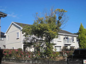 シャーメゾン東田 103号-1