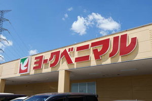 カーサレイールＡ A101号-15