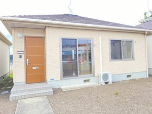 ＳｈａＭａｉｓｏｎ　Ｓｃｉｒｏｃｃｏ　Ｂ