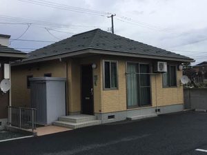 フォーリーフクローバーＢ-1